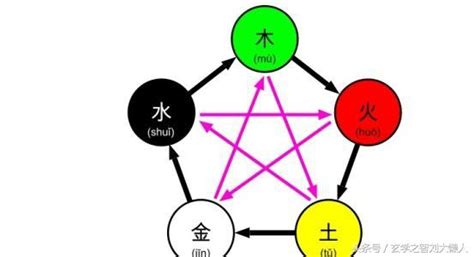 屬火 數字 生命科學 山上房子